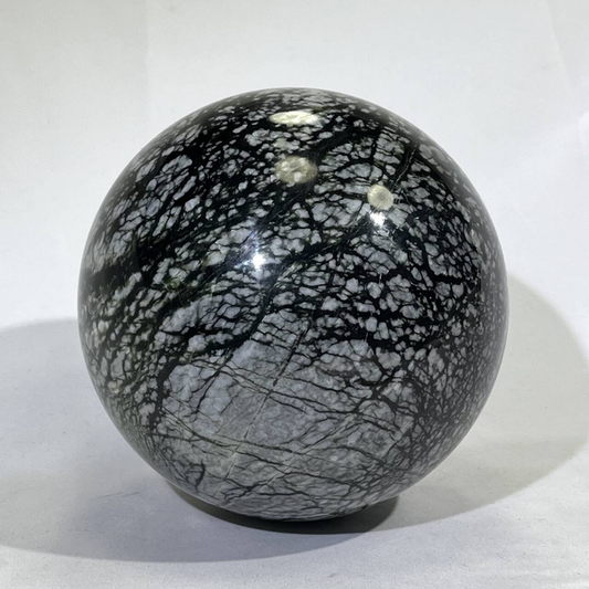 6.5KG Big Fossil Conch Sphere