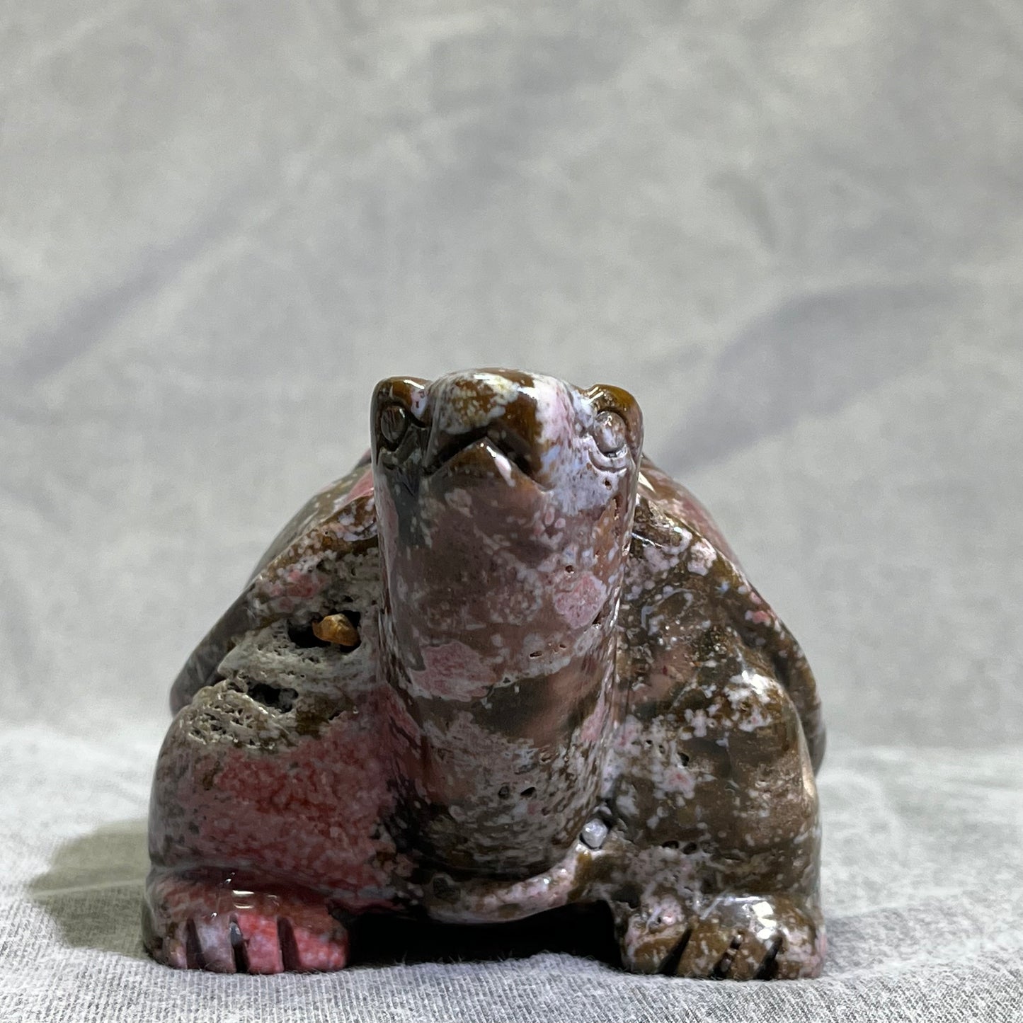 Ocean Jasper Turtle Carving