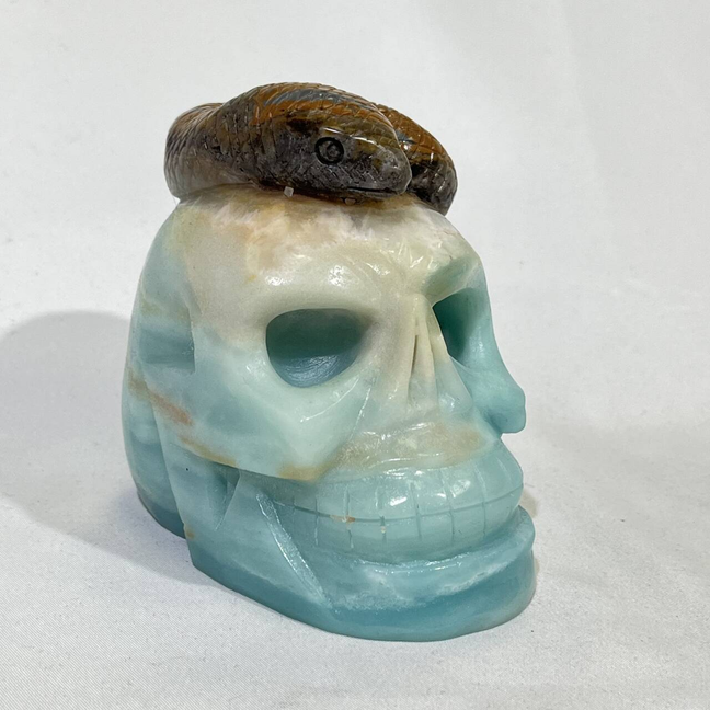 4 Types Skull Carving
