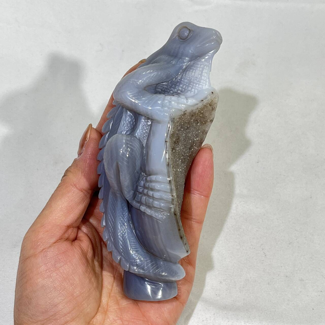 Druzy Agate Hulu,Sea Turtle,Sheep Head,Lizard Carving