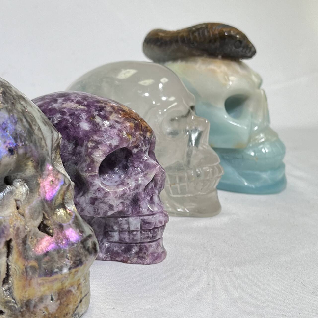 4 Types Skull Carving