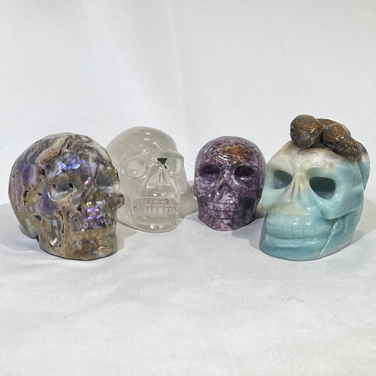4 Types Skull Carving