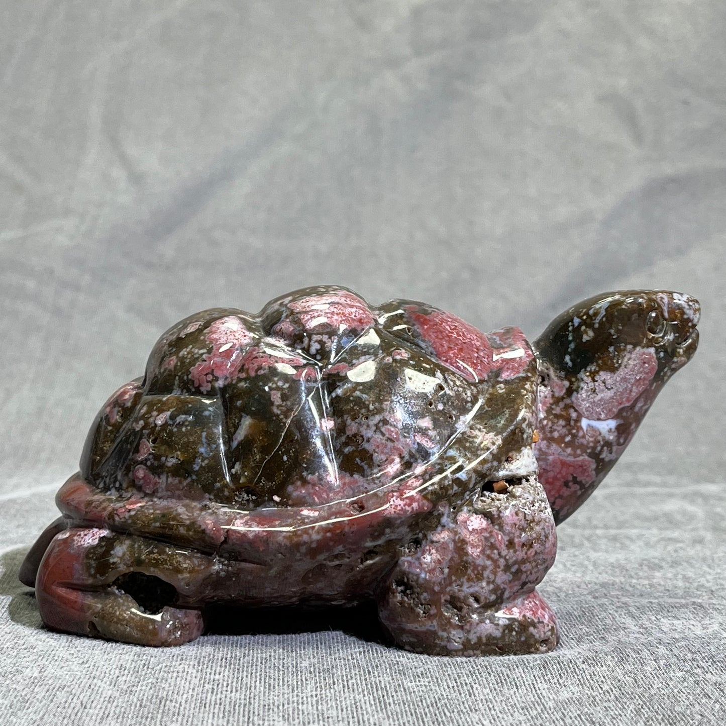 Ocean Jasper Turtle Carving