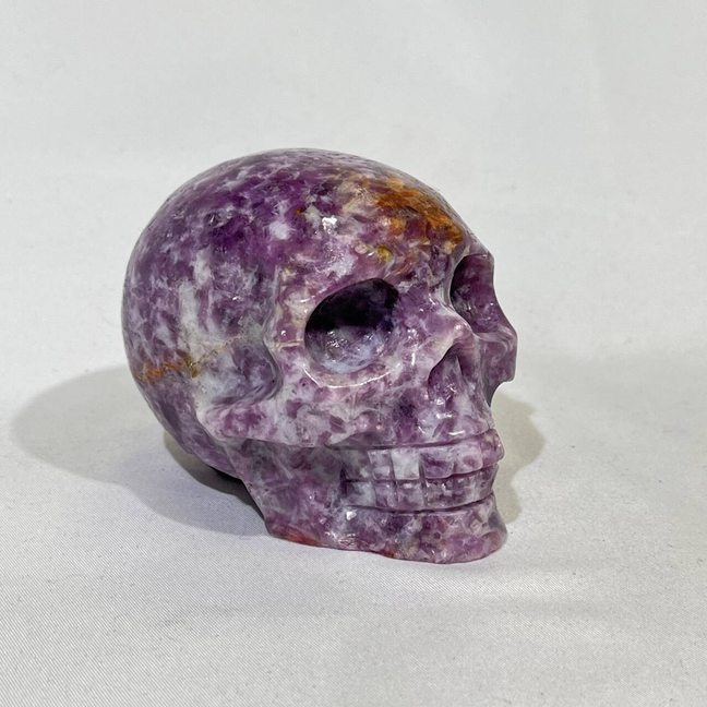 4 Types Skull Carving