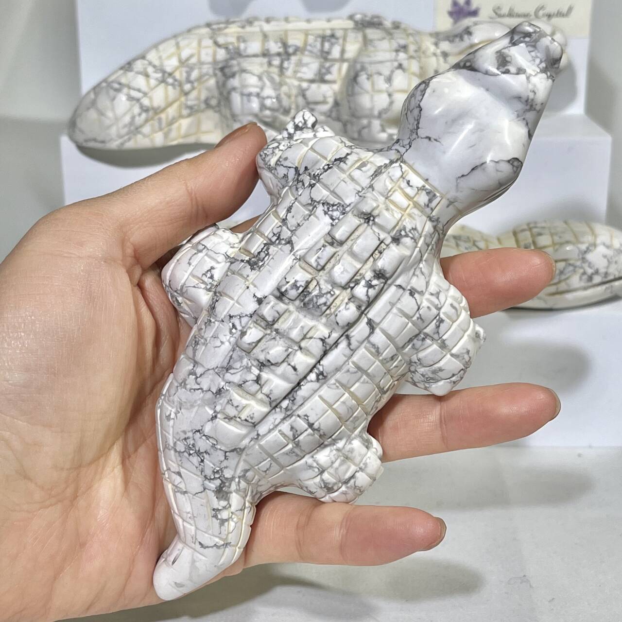 5-8' Howlite Crocodile Carving