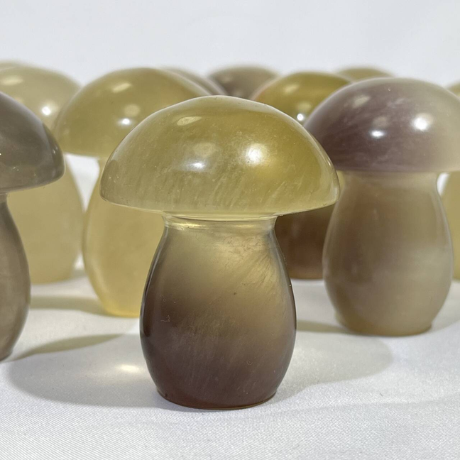 Fluorite Mushroom Carving