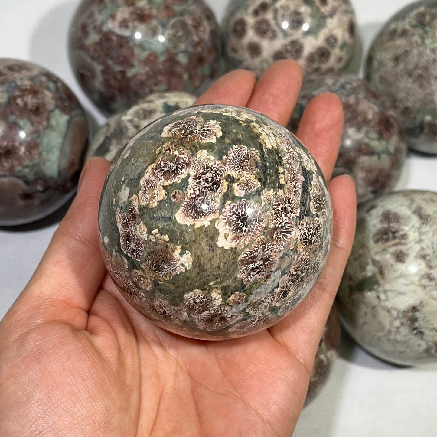 Green Sakura Agate Sphere Wholesale Sphere