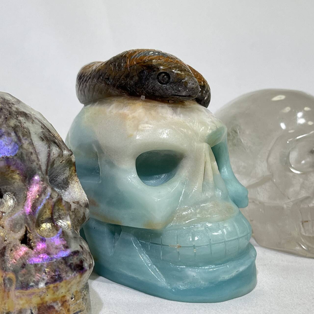 4 Types Skull Carving