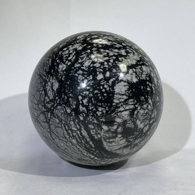 6.5KG Big Fossil Conch Sphere