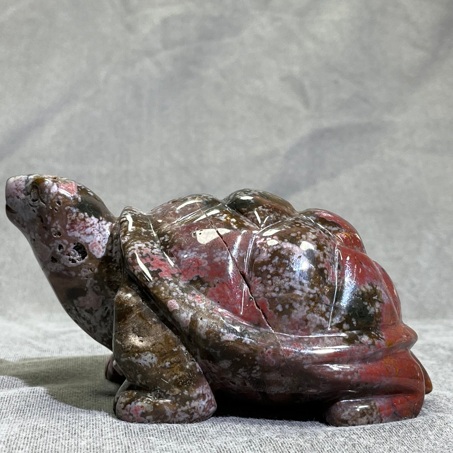 Ocean Jasper Turtle Carving