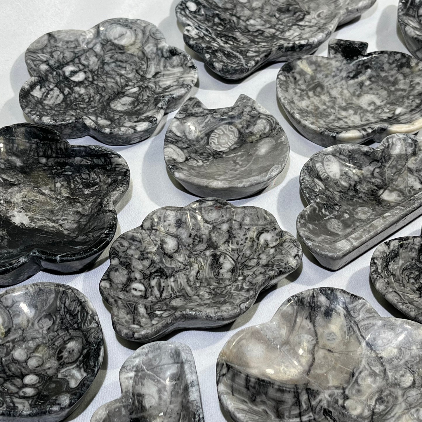 Fossil Conch bowl Carving Wholesale Crystal