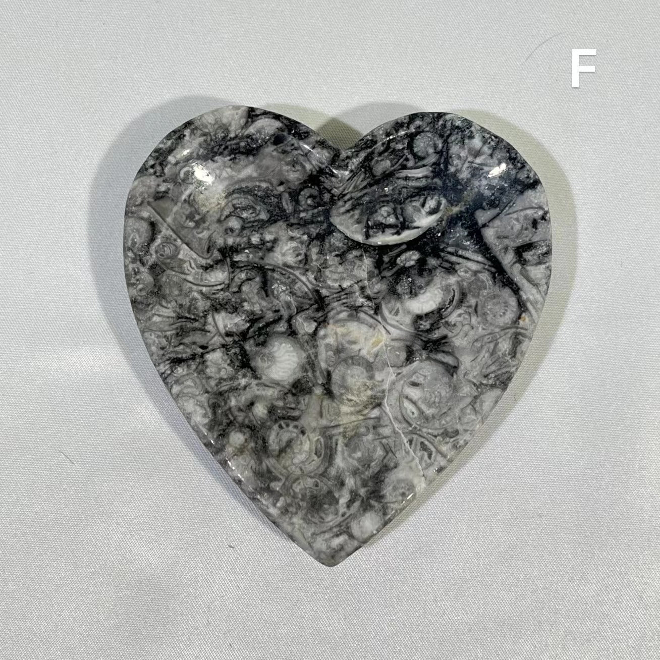 Fossil Conch bowl Carving Wholesale Crystal