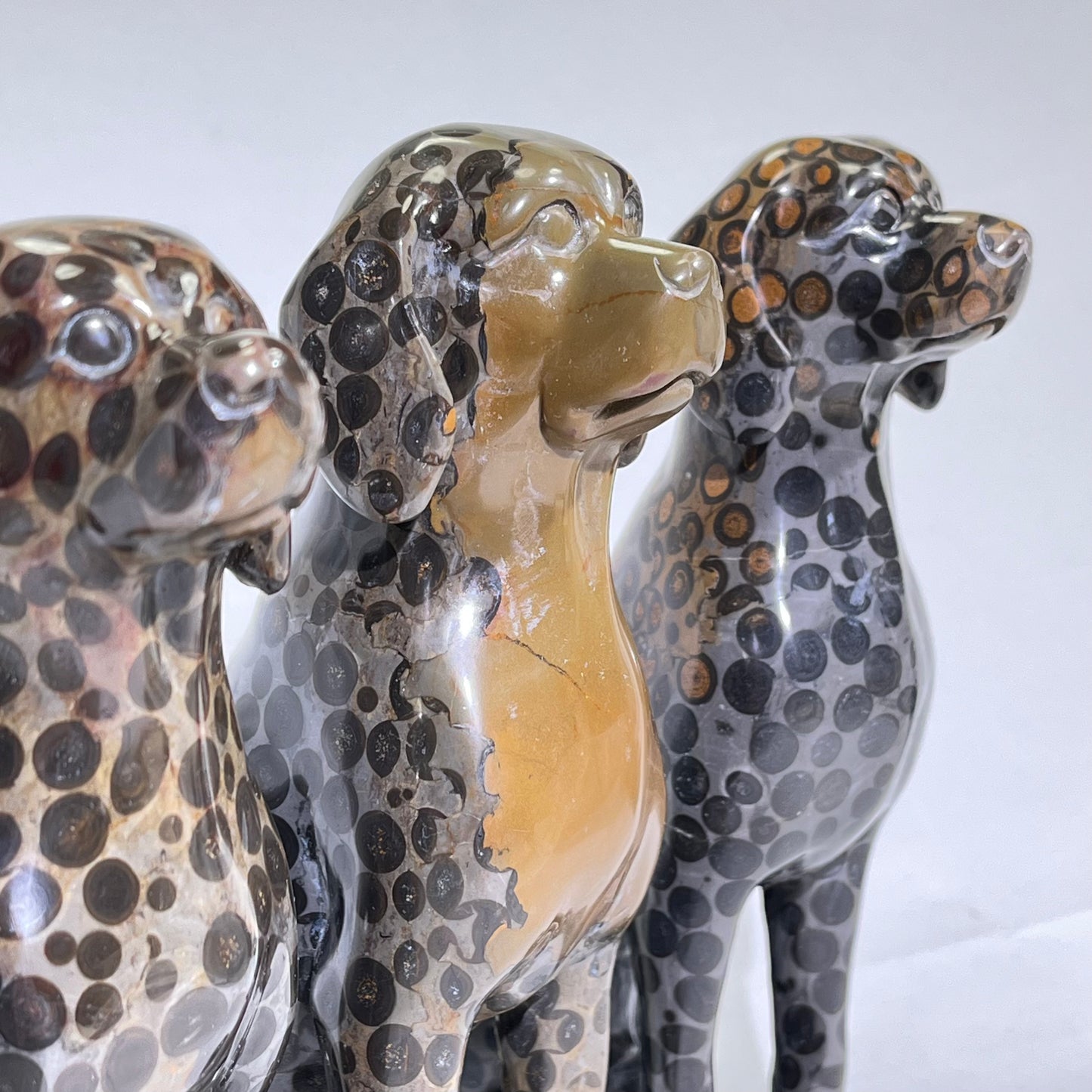 7-7.5' Leopard Jasper Dog Carving