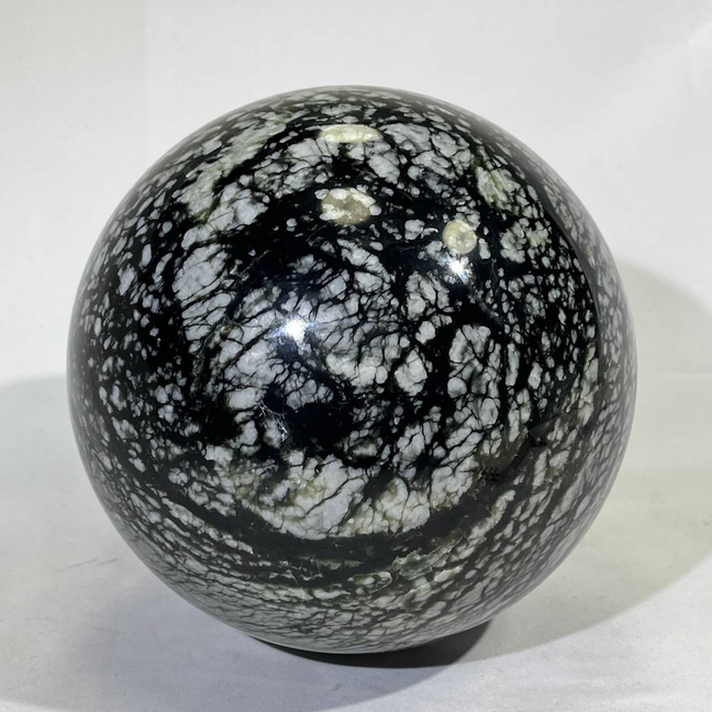 6.5KG Big Fossil Conch Sphere
